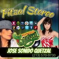 Pitzal Stereo live