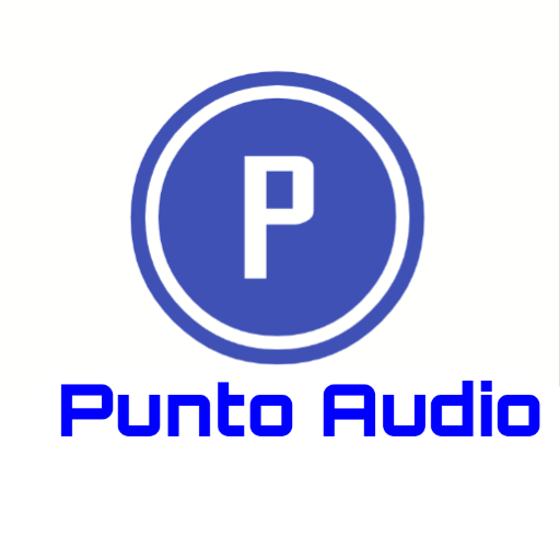 Punto Audio live
