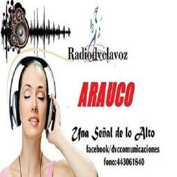 RADIODVC ARAUCO live