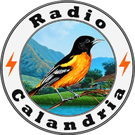 Radio Calandria live