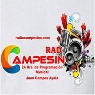 Radio Campesino live
