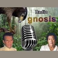 Radio Gnosis live