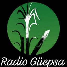 Radio Güepsa live