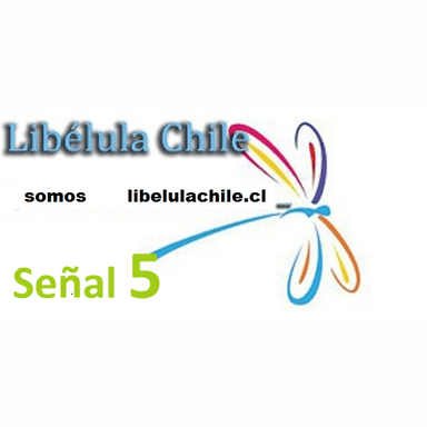 Radio LibélulaChile 5 live