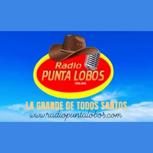 Radio Punta Lobos live