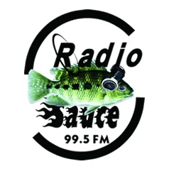 Radio Sauce 99.5 FM live