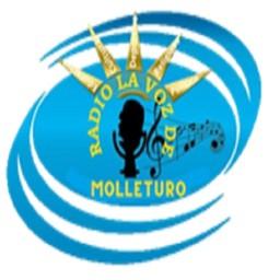 Radio la Voz de Molleturo live