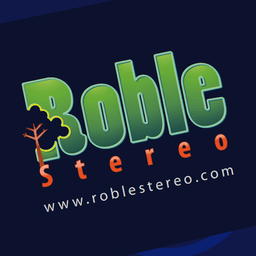 Roble Stereo live