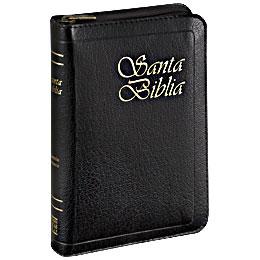 Santa Biblia live