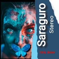 Saraguro Stereo HD live