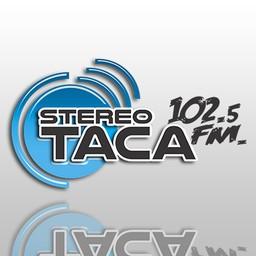 Stereo Taca live