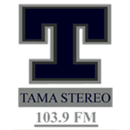 Tamá Stereo live