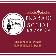 Trabajo Social en Acción live
