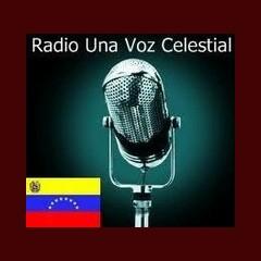 Una Voz Celestial live