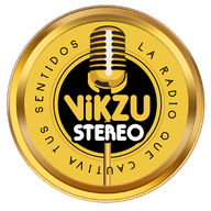 Vikzu Stereo live