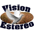 Vision Estereo live