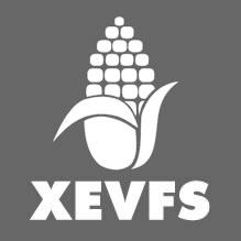 XEVFS La Voz de la Frontera Sur live