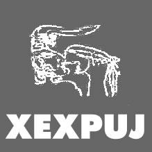 XEXPUJ La Voz del Corazón de la selva live