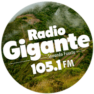 radio gigante 105.1 fm live